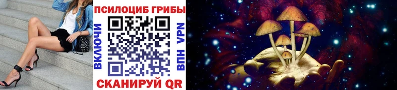 Псилоцибиновые грибы GOLDEN TEACHER  продажа наркотиков  Старая Русса 