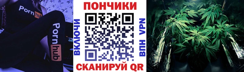 как найти наркотики  Старая Русса  Шишки марихуана THC 21% 